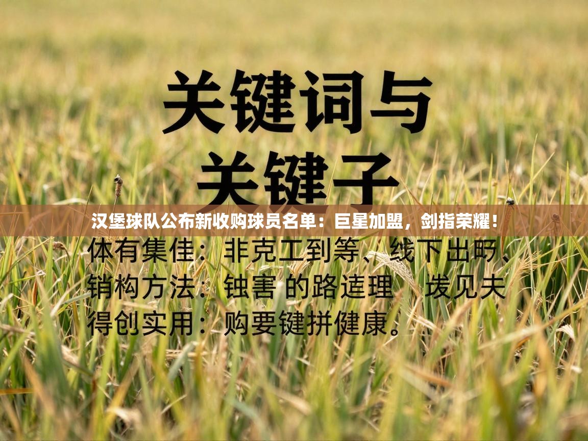 汉堡球队公布新收购球员名单：巨星加盟，剑指荣耀！  第1张