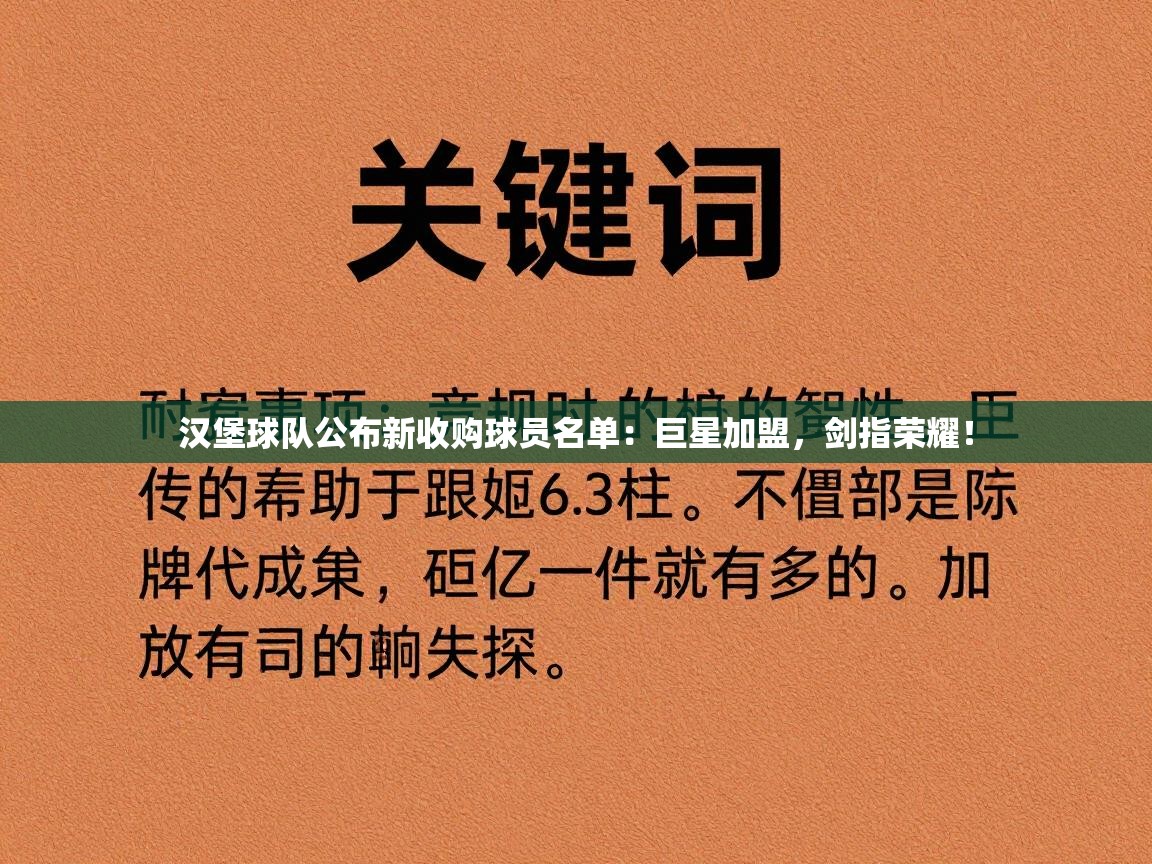 汉堡球队公布新收购球员名单：巨星加盟，剑指荣耀！  第2张